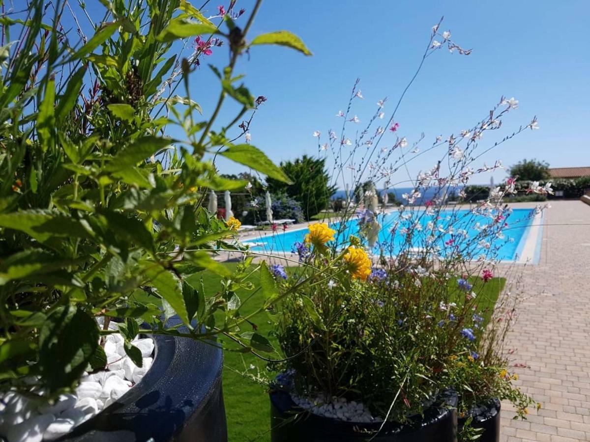Appartamento Dentro Babai Village Tertenìa Zewnętrze zdjęcie